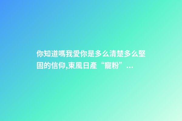 你知道嗎我愛你是多么清楚多么堅固的信仰,東風日產“寵粉”轟趴幸福開啟-第1張-觀點-玄機派