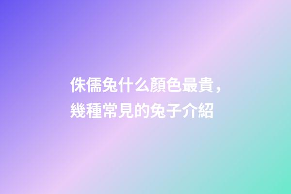 侏儒兔什么顏色最貴，幾種常見的兔子介紹-第1張-觀點-玄機派