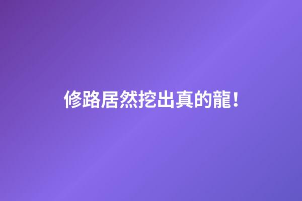 修路居然挖出真的龍！