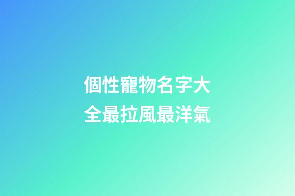 個性寵物名字大全最拉風最洋氣