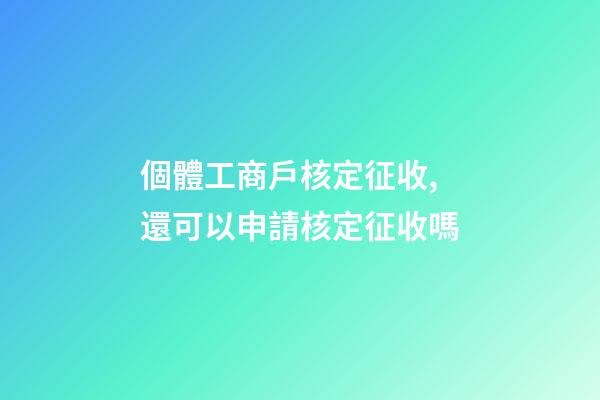 個體工商戶核定征收,還可以申請核定征收嗎-第1張-觀點-玄機派