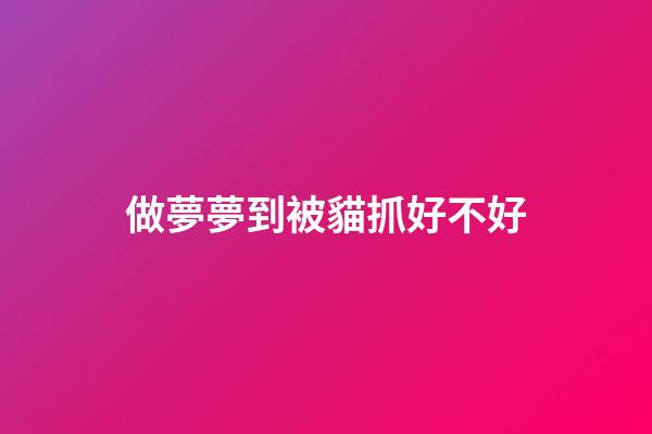 做夢夢到被貓抓好不好