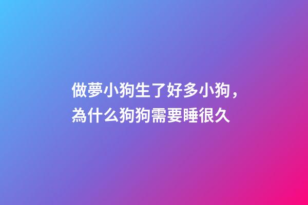 做夢小狗生了好多小狗，為什么狗狗需要睡很久-第1張-觀點-玄機派