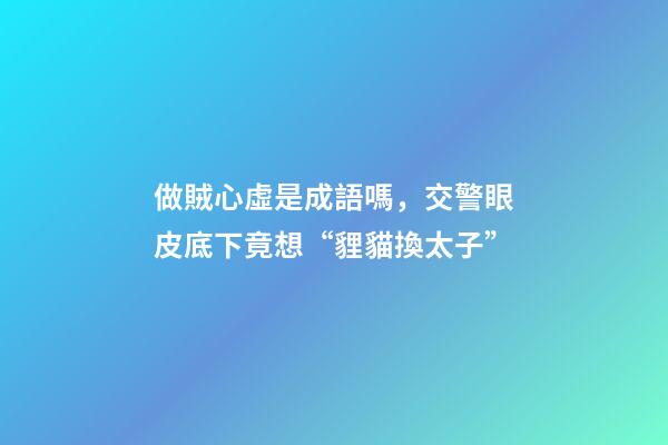 做賊心虛是成語嗎，交警眼皮底下竟想“貍貓換太子”-第1張-觀點-玄機派