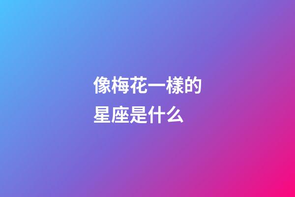 像梅花一樣的星座是什么-第1張-星座運勢-玄機派
