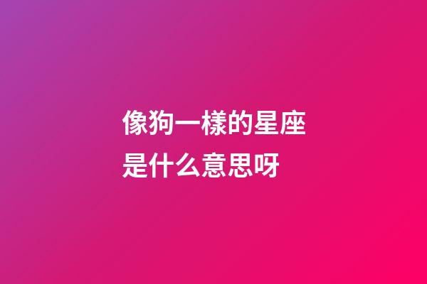 像狗一樣的星座是什么意思呀-第1張-星座運(yùn)勢(shì)-玄機(jī)派