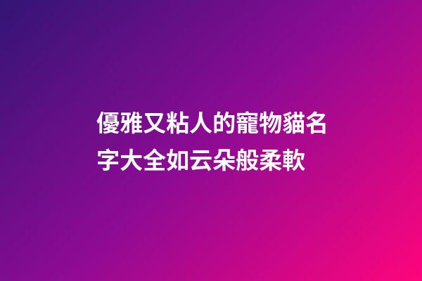 優雅又粘人的寵物貓名字大全如云朵般柔軟