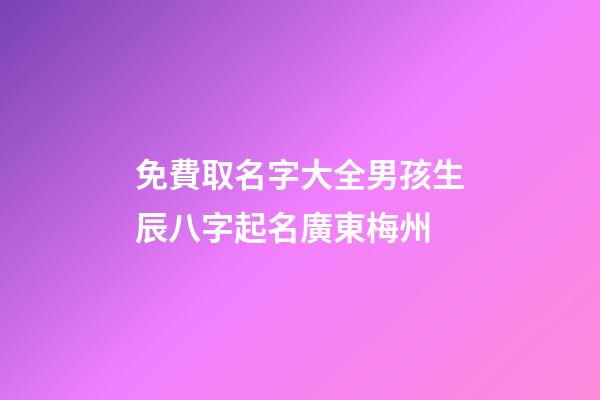 免費取名字大全男孩生辰八字起名廣東梅州(梅州寶寶起名)-第1張-男孩起名-玄機派