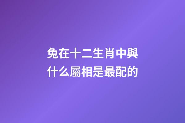 兔在十二生肖中與什么屬相是最配的