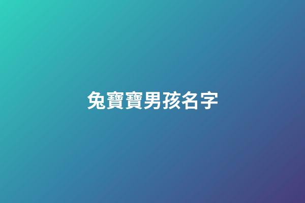 兔寶寶男孩名字(兔寶寶男孩名字李)-第1張-男孩起名-玄機派