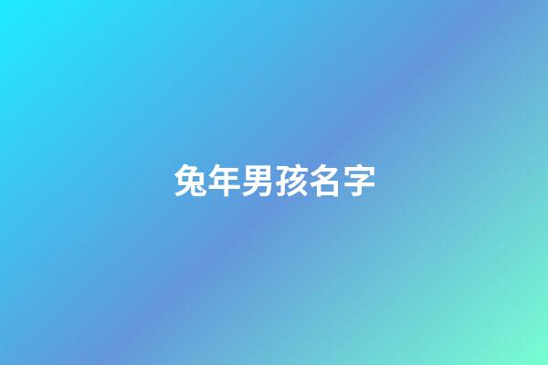 兔年男孩名字(兔年男孩名字大全)-第1張-男孩起名-玄機派
