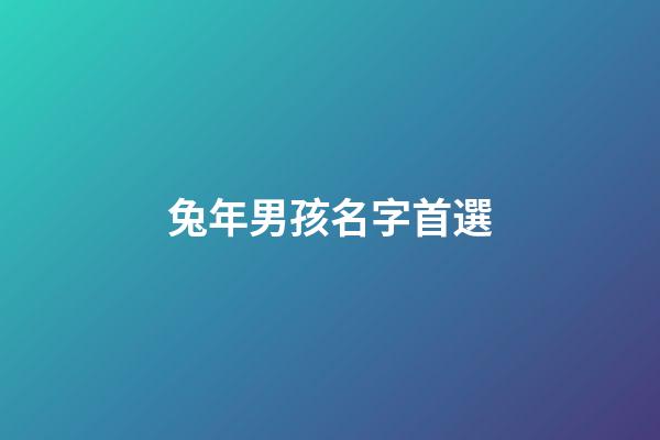 兔年男孩名字首選(2023年最旺男孩名字)-第1張-男孩起名-玄機派