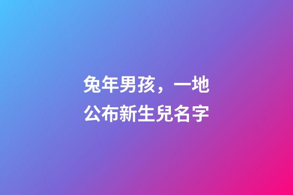 兔年男孩，一地公布新生兒名字-第1張-觀點-玄機派