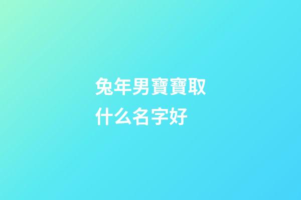 兔年男寶寶取什么名字好(兔年男寶寶取什么名字好一點)-第1張-男孩起名-玄機派
