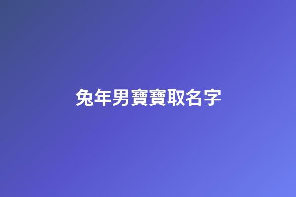 兔年男寶寶取名字(2023年最旺男孩名字)-第1張-男孩起名-玄機派