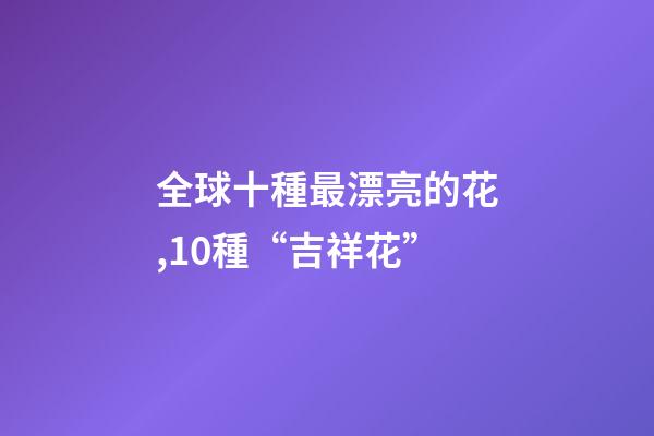 全球十種最漂亮的花,10種“吉祥花”-第1張-觀點-玄機派
