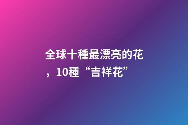 全球十種最漂亮的花，10種“吉祥花”-第1張-觀點-玄機派