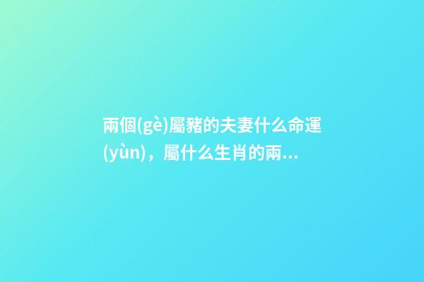 兩個(gè)屬豬的夫妻什么命運(yùn)，屬什么生肖的兩口子-第1張-觀點(diǎn)-玄機(jī)派