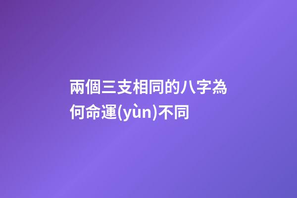 兩個三支相同的八字為何命運(yùn)不同
