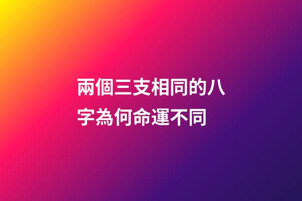 兩個三支相同的八字為何命運不同