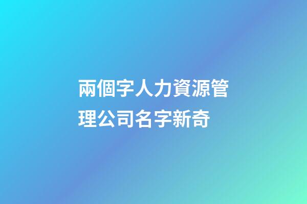 兩個字人力資源管理公司名字新奇
