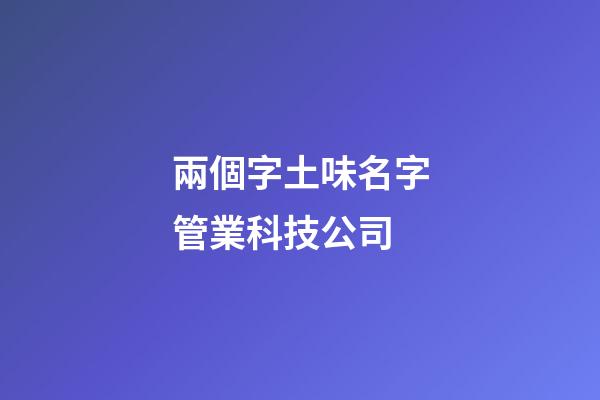 兩個字土味名字管業科技公司-第1張-公司起名-玄機派