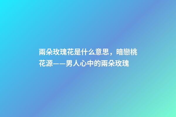 兩朵玫瑰花是什么意思，暗戀桃花源——男人心中的兩朵玫瑰-第1張-觀點-玄機派