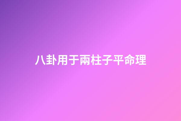 八卦用于兩柱子平命理