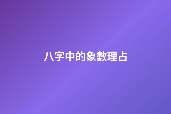 八字中的象數理占