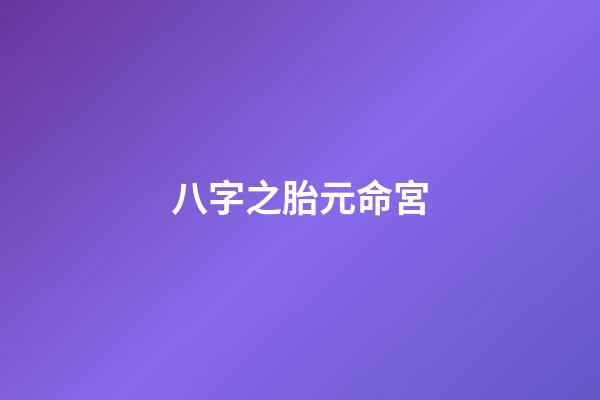 八字之胎元命宮