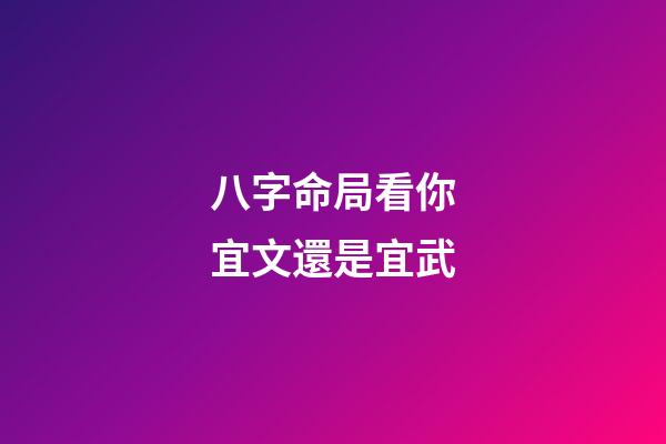 八字命局看你宜文還是宜武