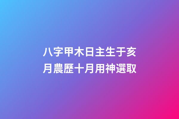 八字甲木日主生于亥月農歷十月用神選取
