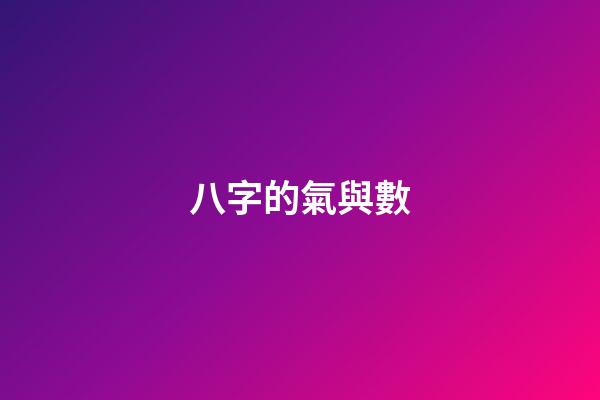 八字的氣與數