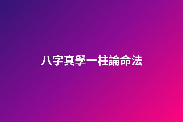 八字真學一柱論命法