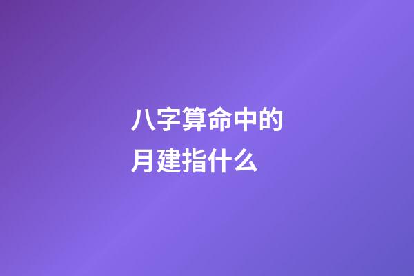 八字算命中的月建指什么