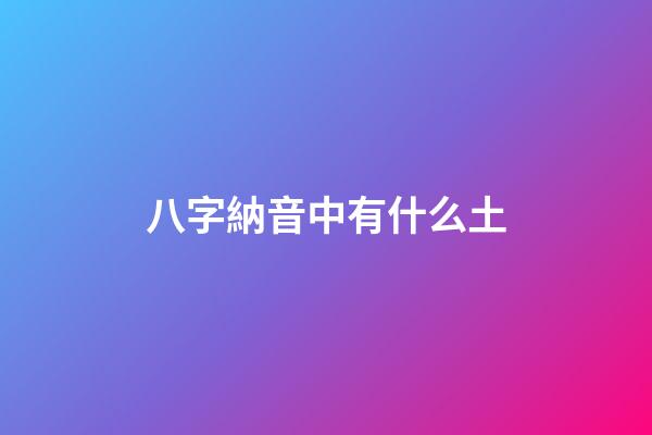 八字納音中有什么土