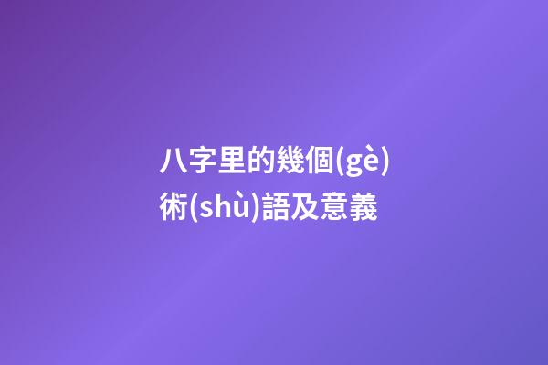 八字里的幾個(gè)術(shù)語及意義