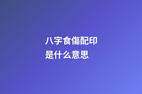 八字食傷配印是什么意思