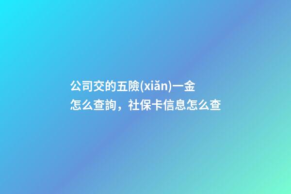 公司交的五險(xiǎn)一金怎么查詢，社保卡信息怎么查-第1張-觀點(diǎn)-玄機(jī)派
