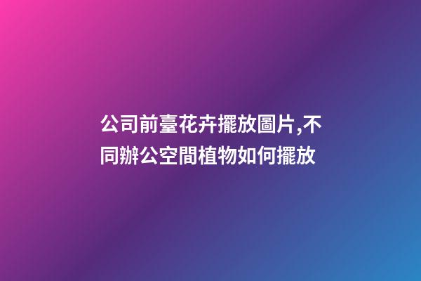 公司前臺花卉擺放圖片,不同辦公空間植物如何擺放-第1張-觀點-玄機派