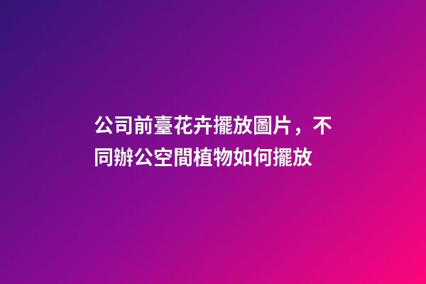 公司前臺花卉擺放圖片，不同辦公空間植物如何擺放-第1張-觀點-玄機派