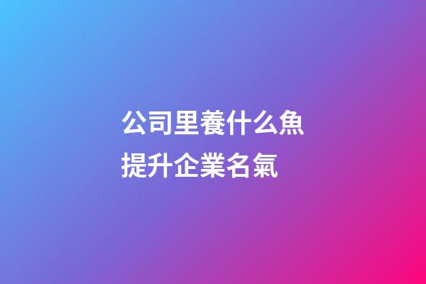 公司里養什么魚提升企業名氣