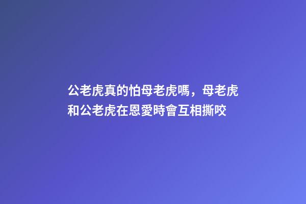 公老虎真的怕母老虎嗎，母老虎和公老虎在恩愛時會互相撕咬-第1張-觀點-玄機派