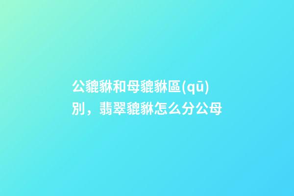 公貔貅和母貔貅區(qū)別，翡翠貔貅怎么分公母-第1張-觀點(diǎn)-玄機(jī)派