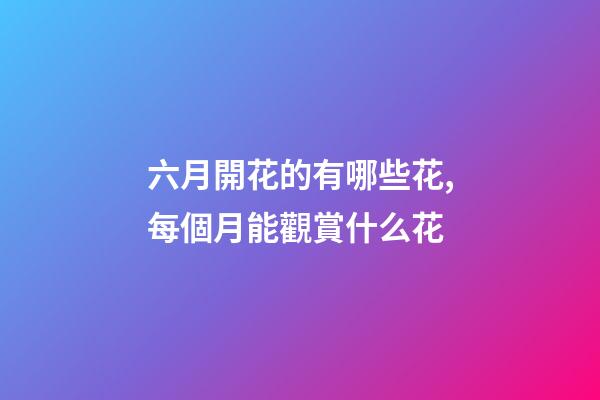 六月開花的有哪些花,每個月能觀賞什么花-第1張-觀點-玄機派