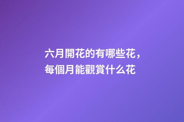 六月開花的有哪些花，每個月能觀賞什么花-第1張-觀點-玄機派