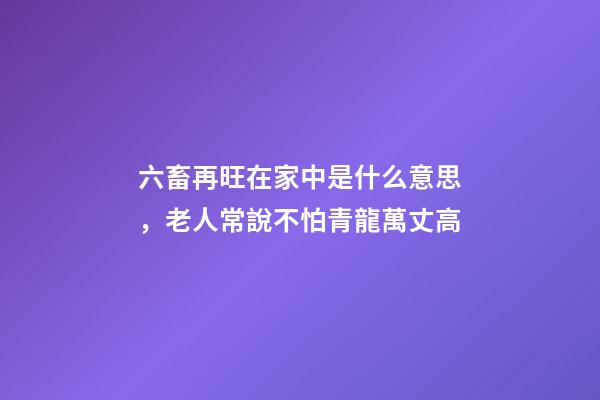 六畜再旺在家中是什么意思，老人常說不怕青龍萬丈高-第1張-觀點-玄機派