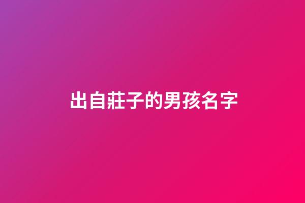 出自莊子的男孩名字(莊子里好聽的男孩名字)