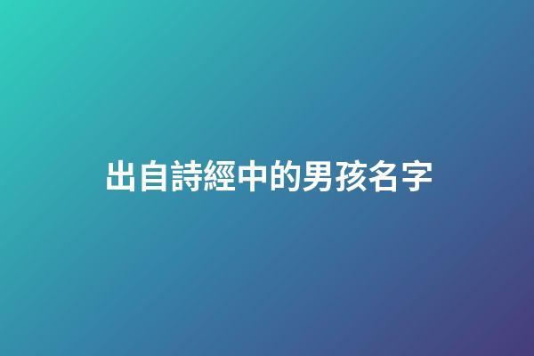 出自詩經中的男孩名字(出自詩經中的男孩名字有哪些)-第1張-男孩起名-玄機派
