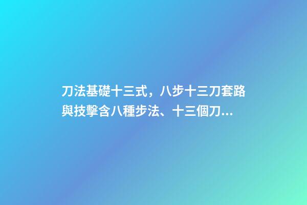 刀法基礎十三式，八步十三刀套路與技擊(1)含八種步法、十三個刀點、三十六拆刀-第1張-觀點-玄機派